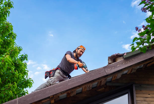 Best Siding Services  in USA